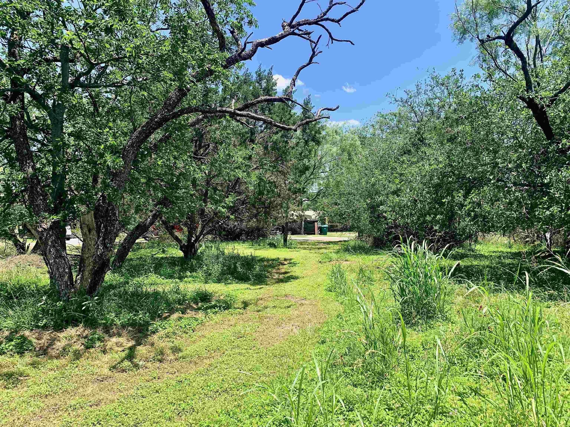 0.12 acres in Burnet County - photo 6