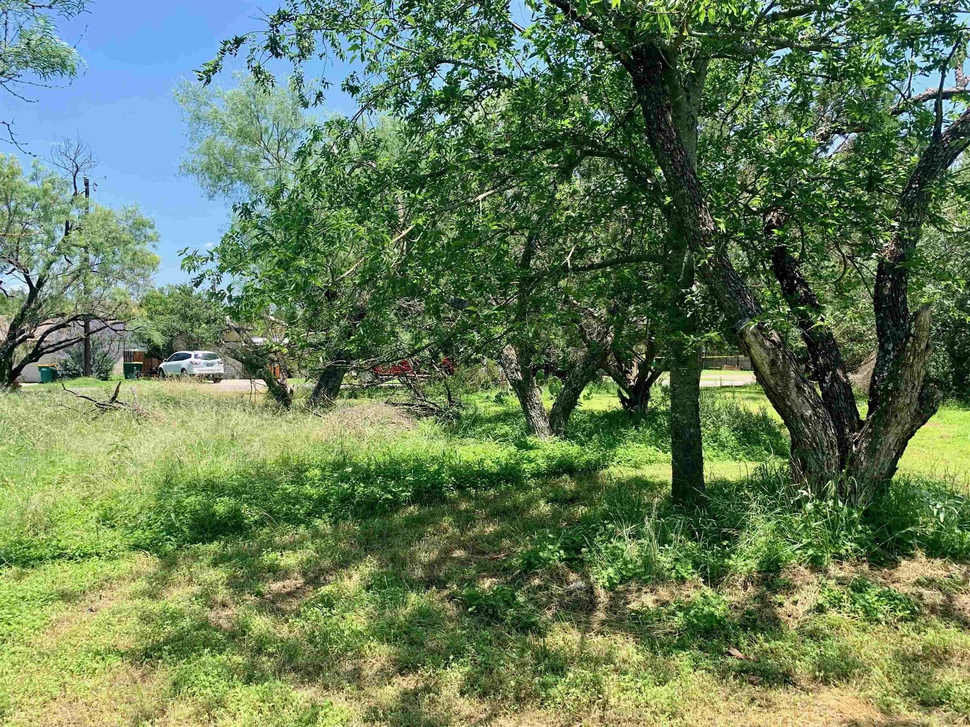 0.12 acres in Burnet County - photo 7