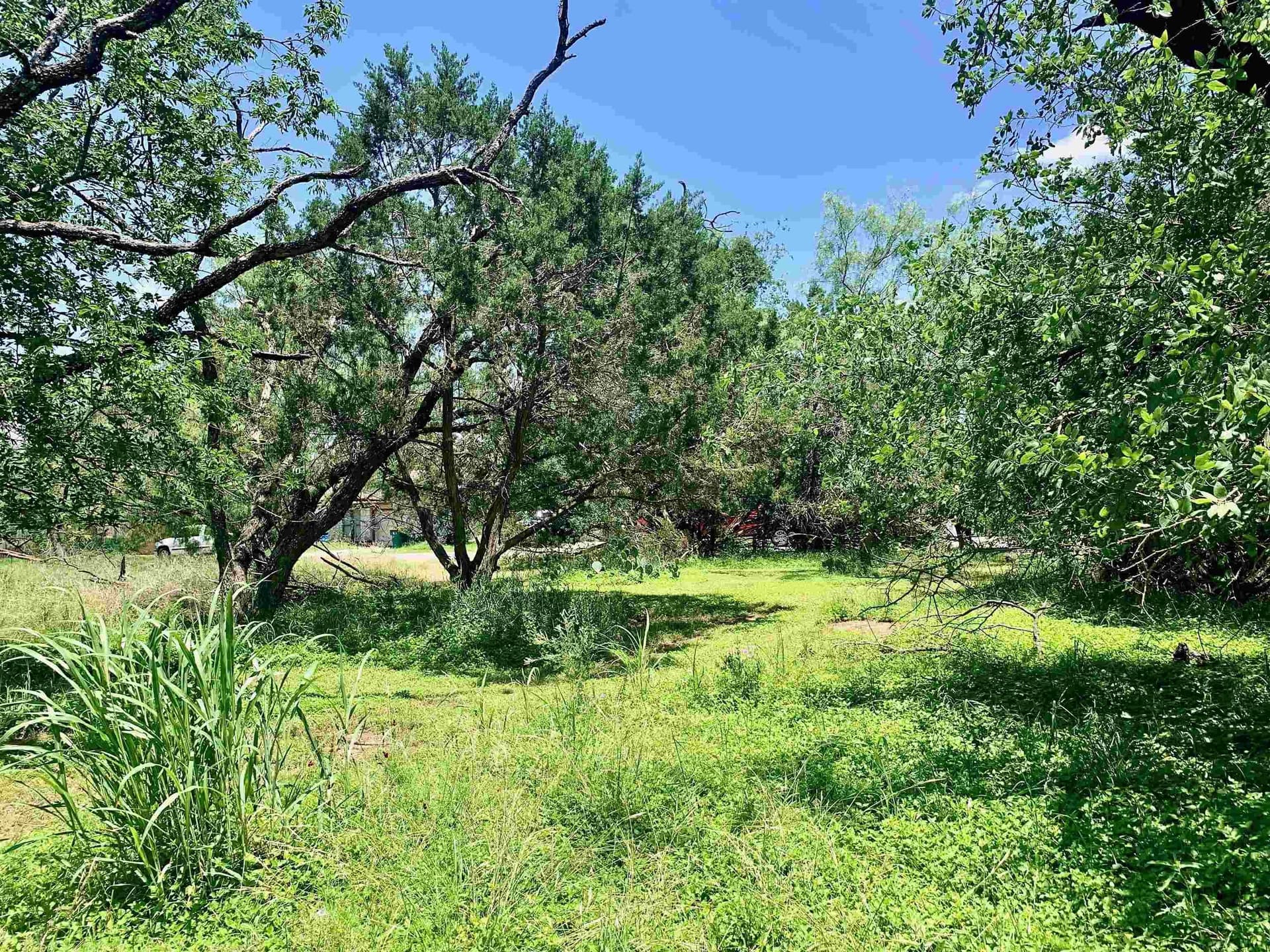 0.12 acres in Burnet County - photo 9