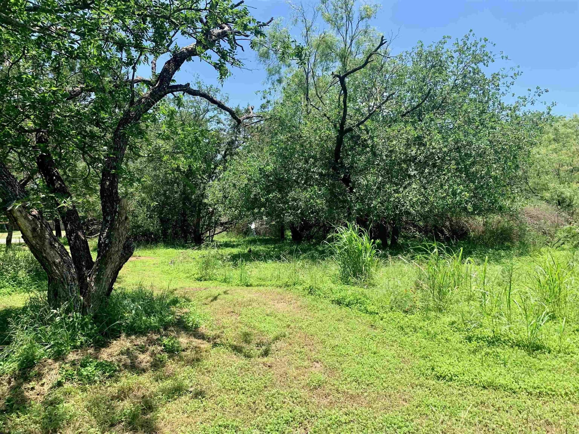 0.12 acres in Burnet County - photo 8