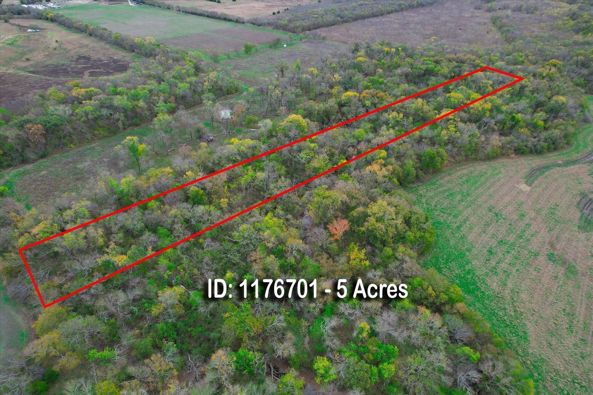 159.24 acres in Collin County - photo 10