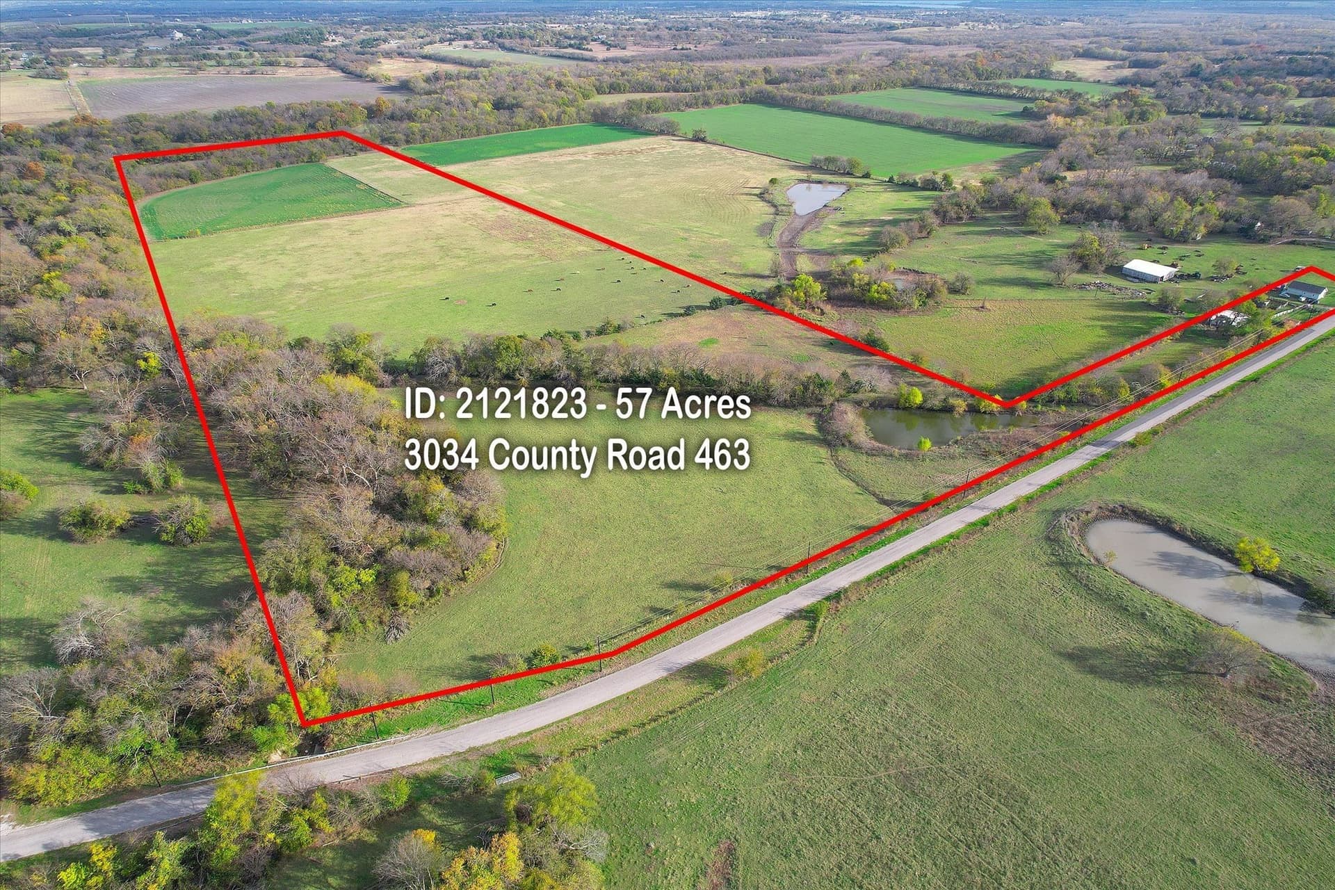 159.24 acres in Collin County gallery image 3