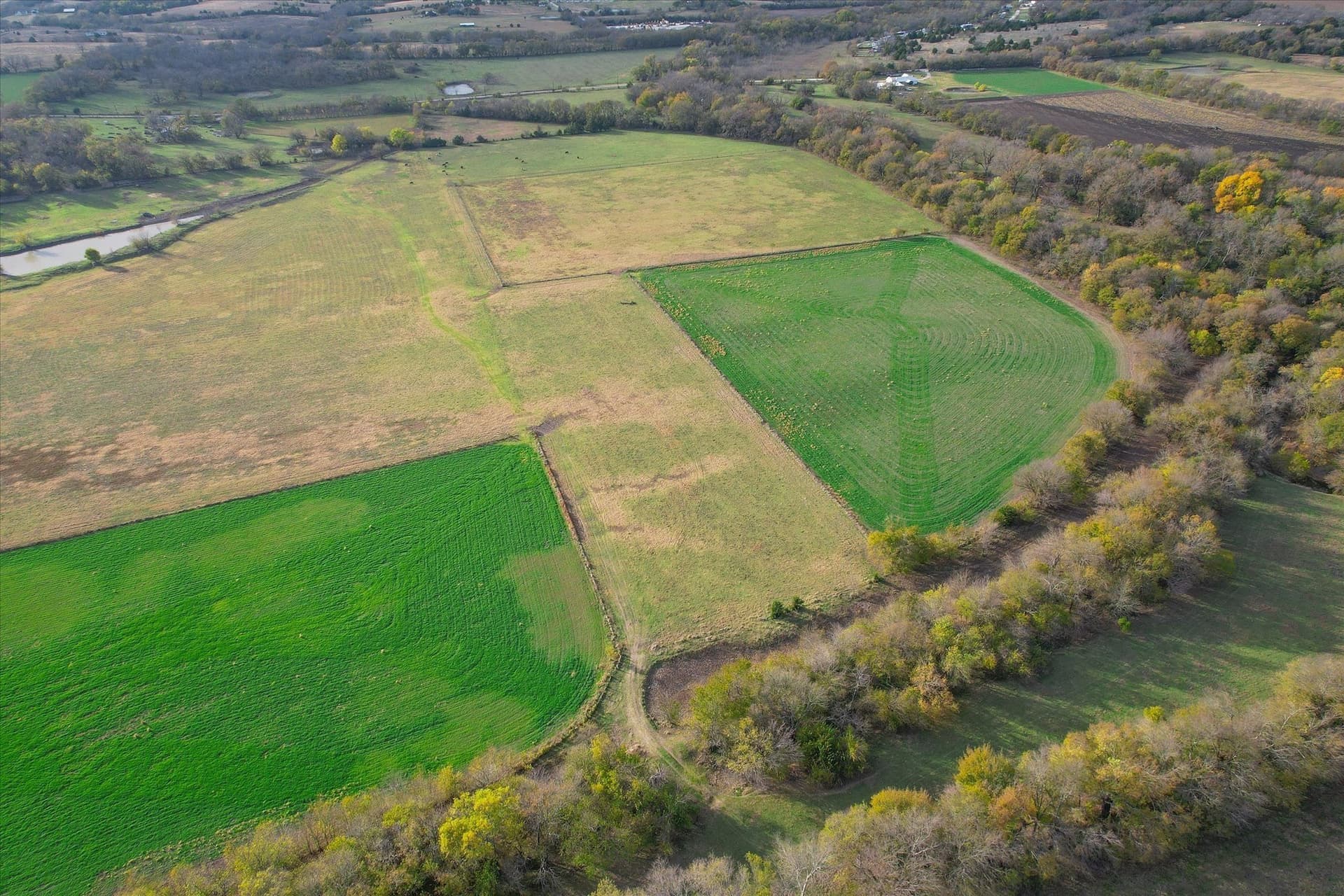 159.24 acres in Collin County - photo 34