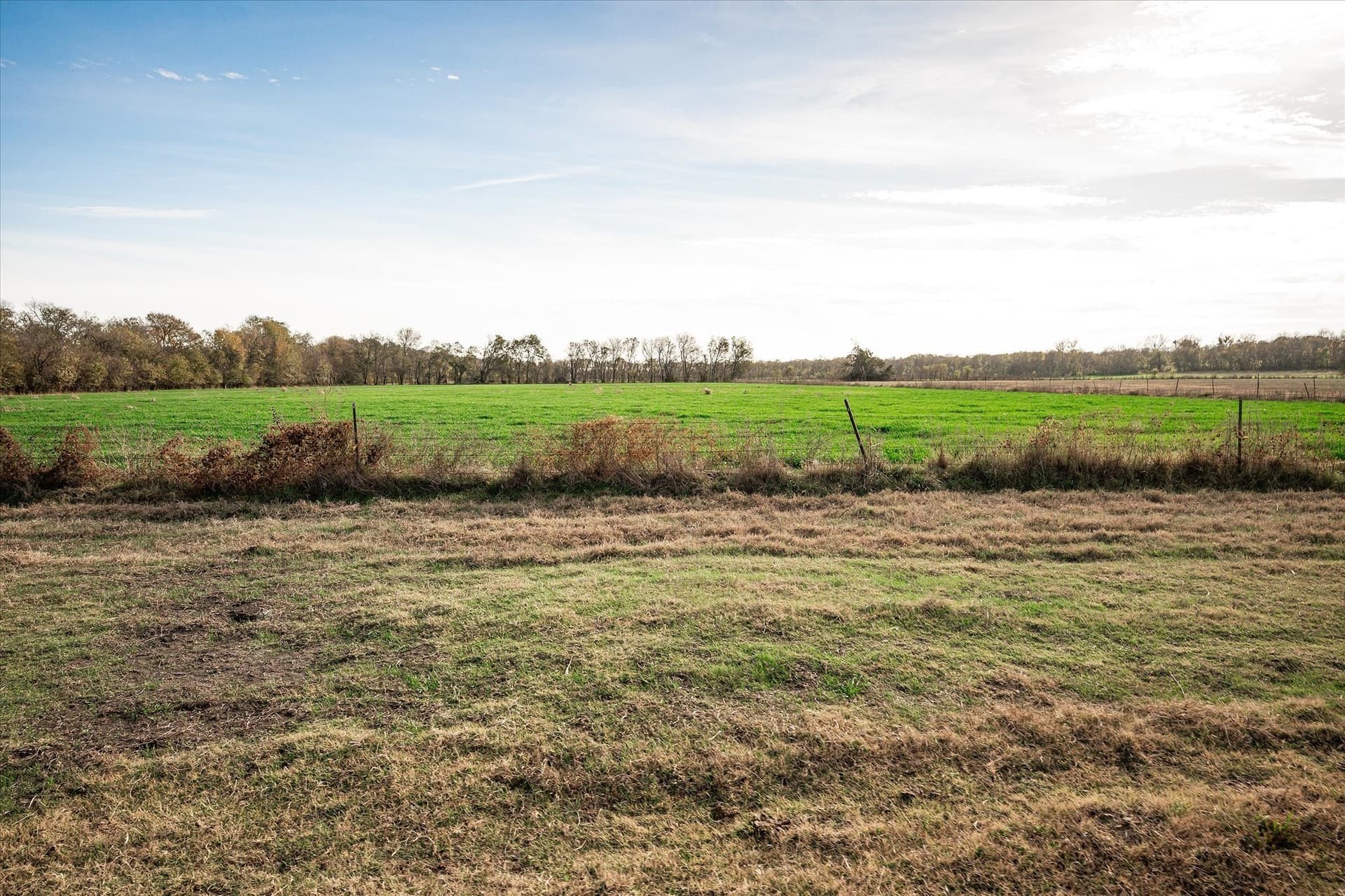 159.24 acres in Collin County - photo 21