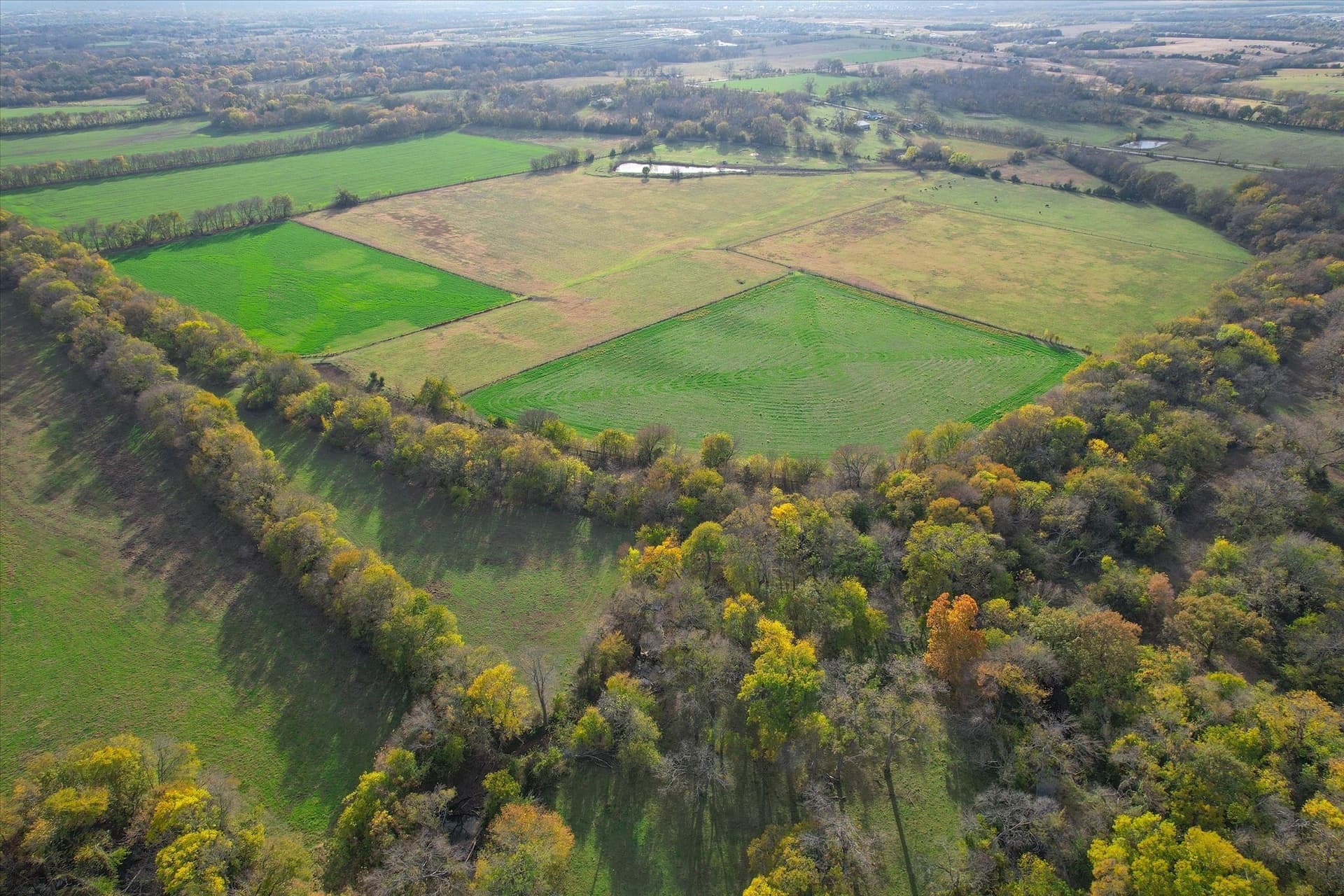 159.24 acres in Collin County - photo 33