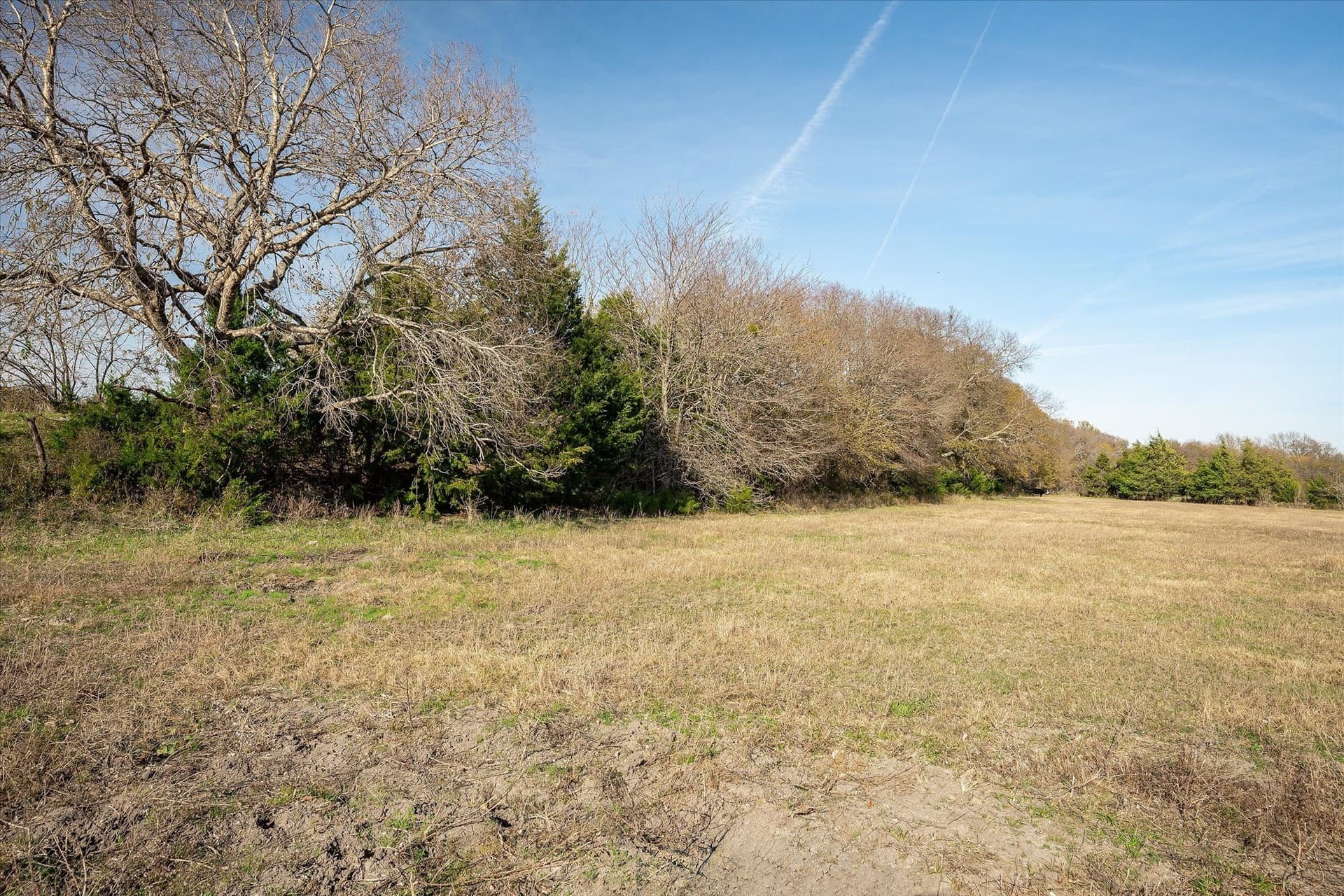 159.24 acres in Collin County - photo 16