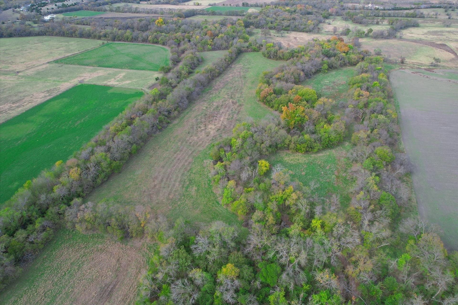 159.24 acres in Collin County - photo 37