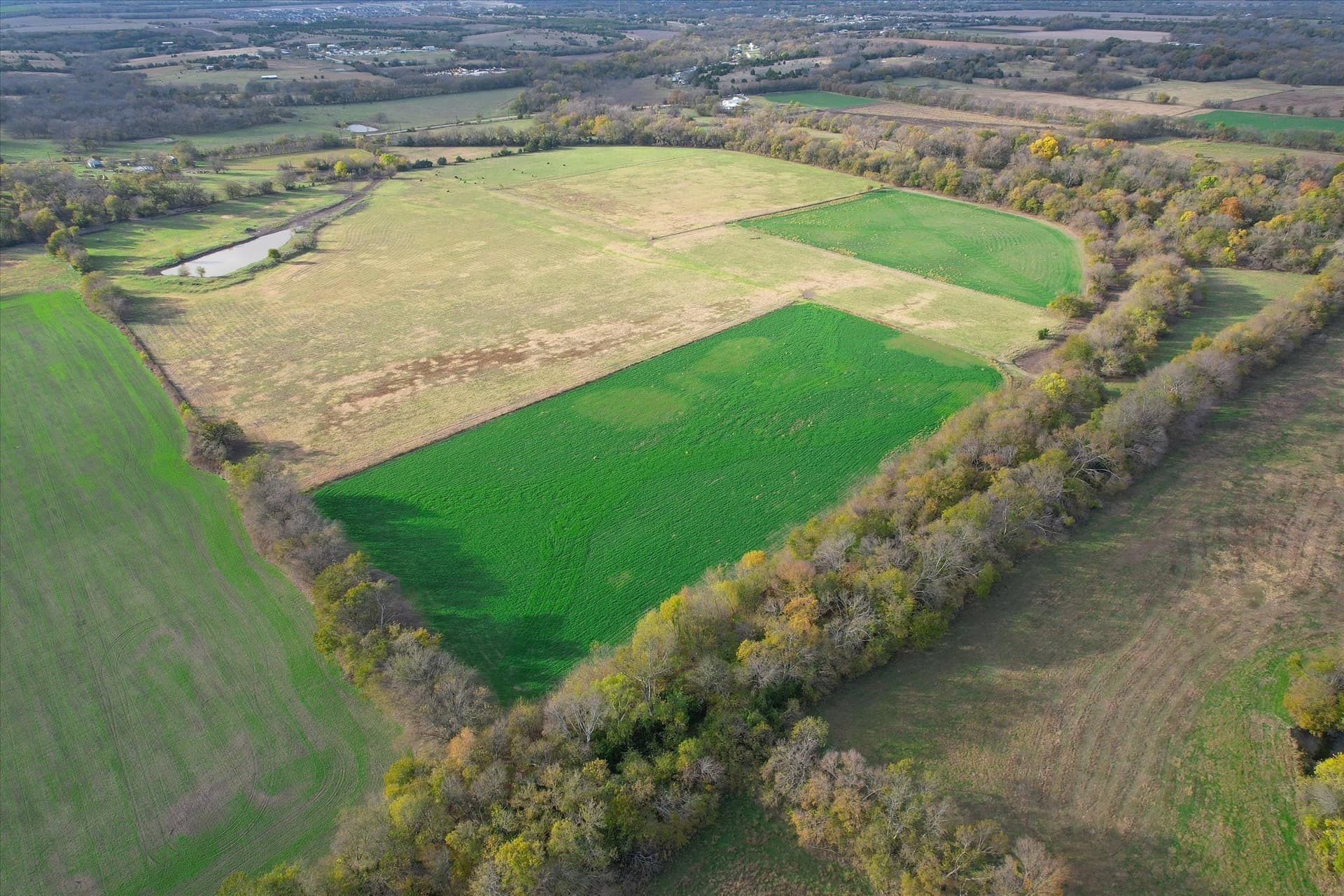 159.24 acres in Collin County - photo 36