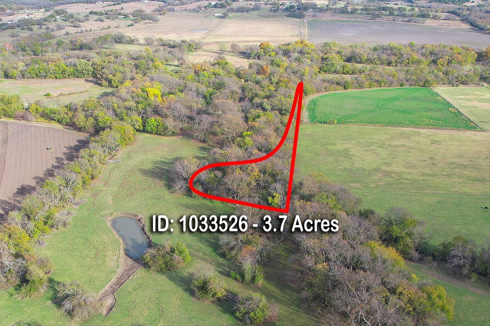 159.24 acres in Collin County - photo 6