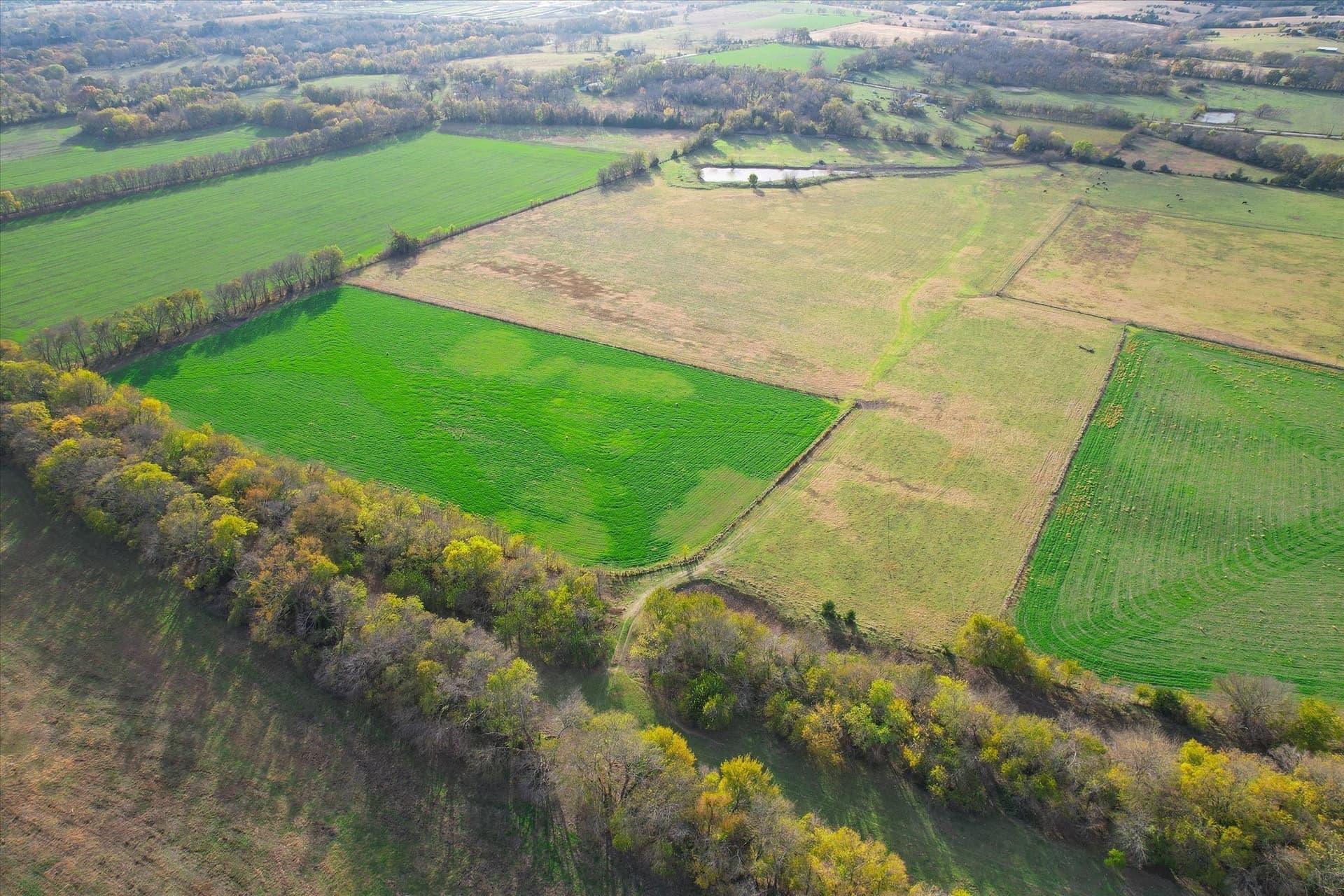 159.24 acres in Collin County - photo 35