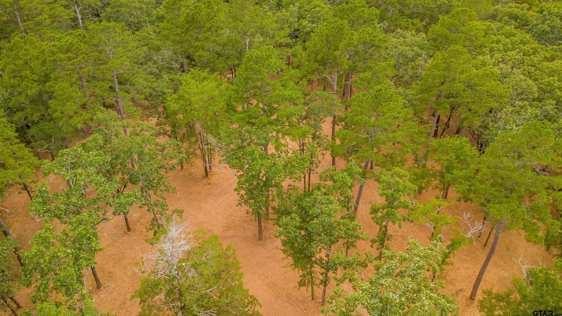 4.9 acres in Smith County gallery image 4