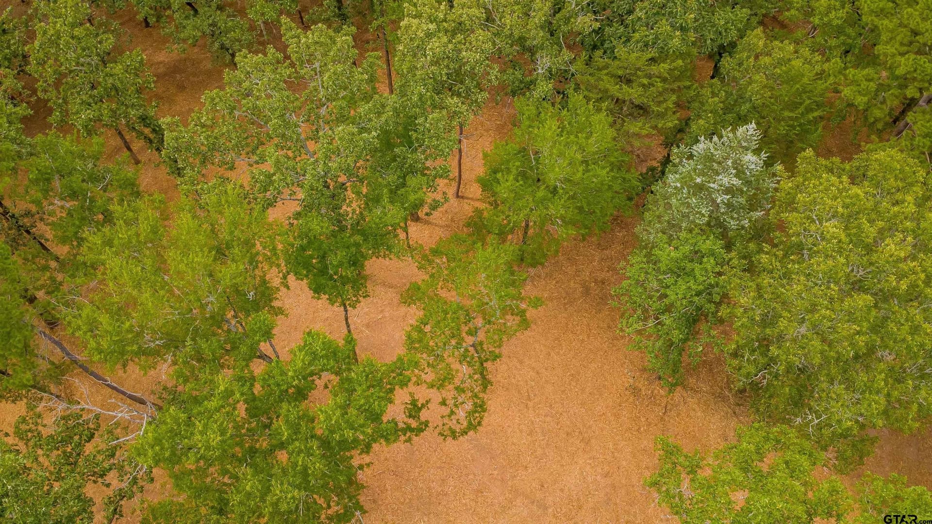 4.9 acres in Smith County gallery image 3