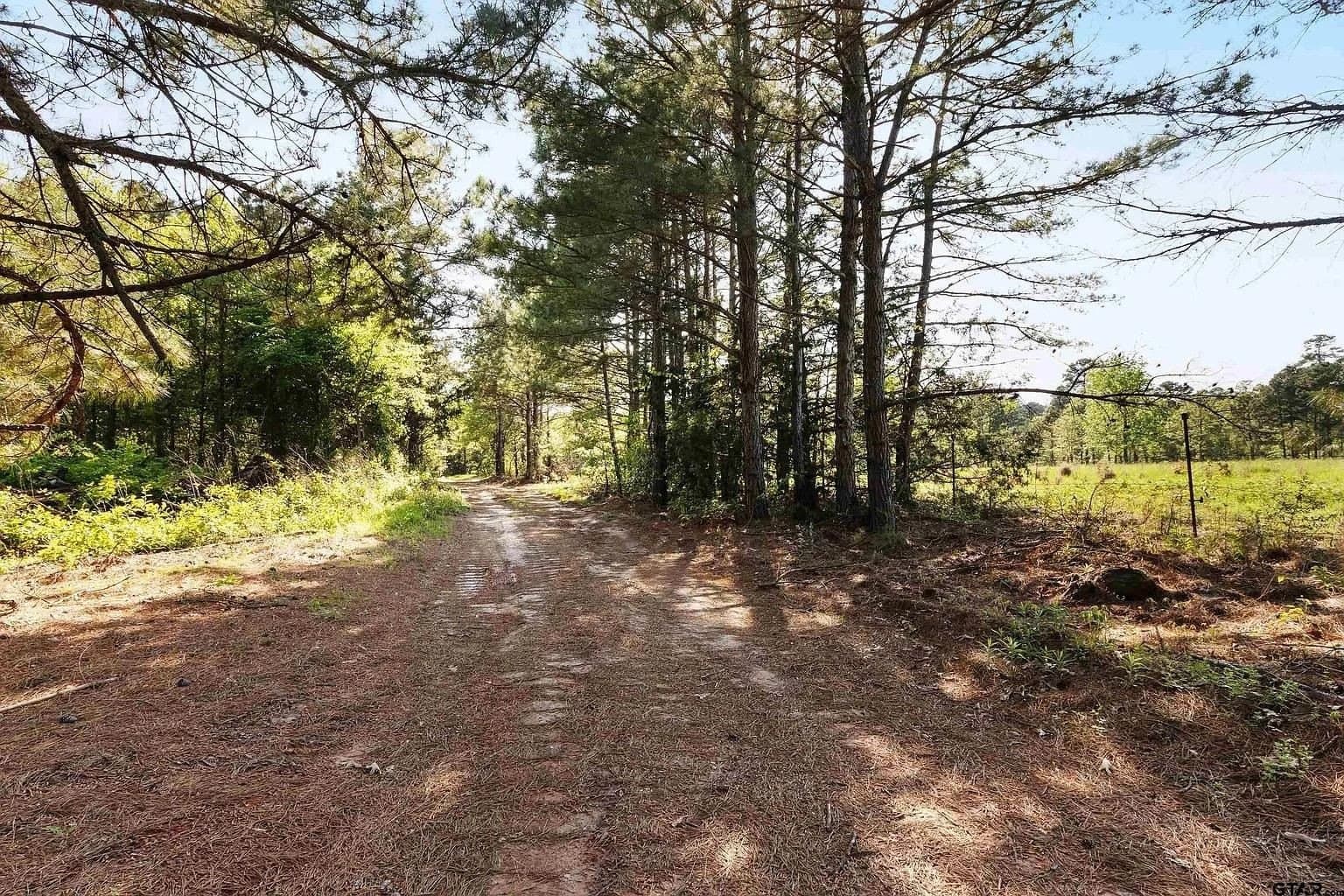 167.7 acres in Texas County - photo 11