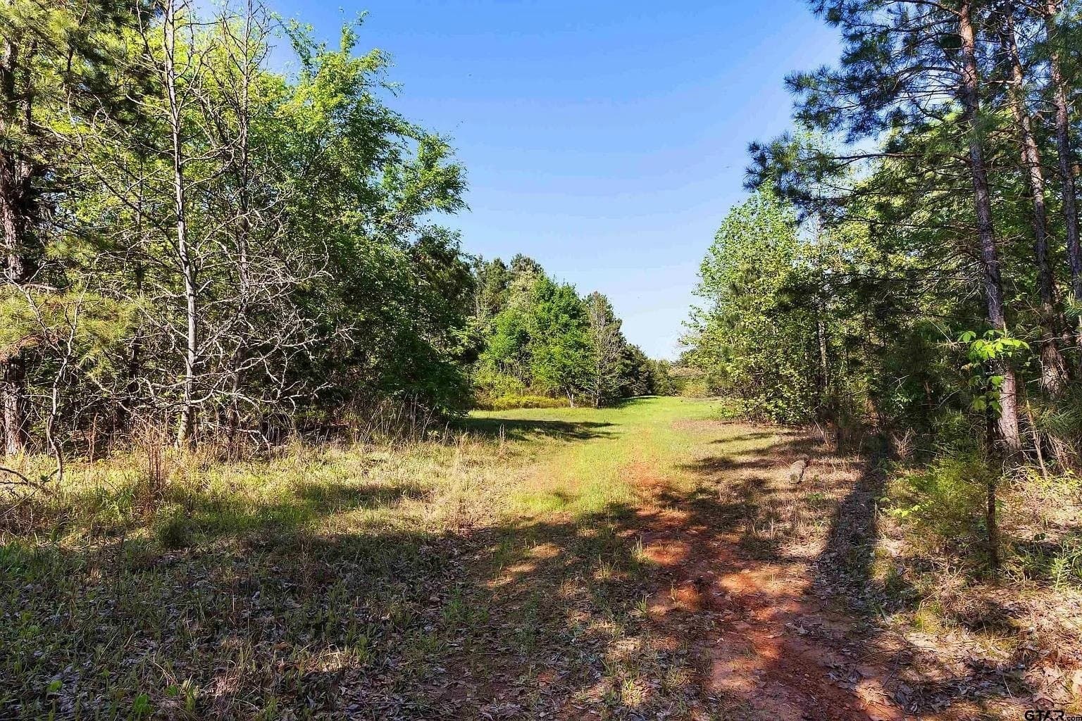 167.7 acres in Texas County - photo 14