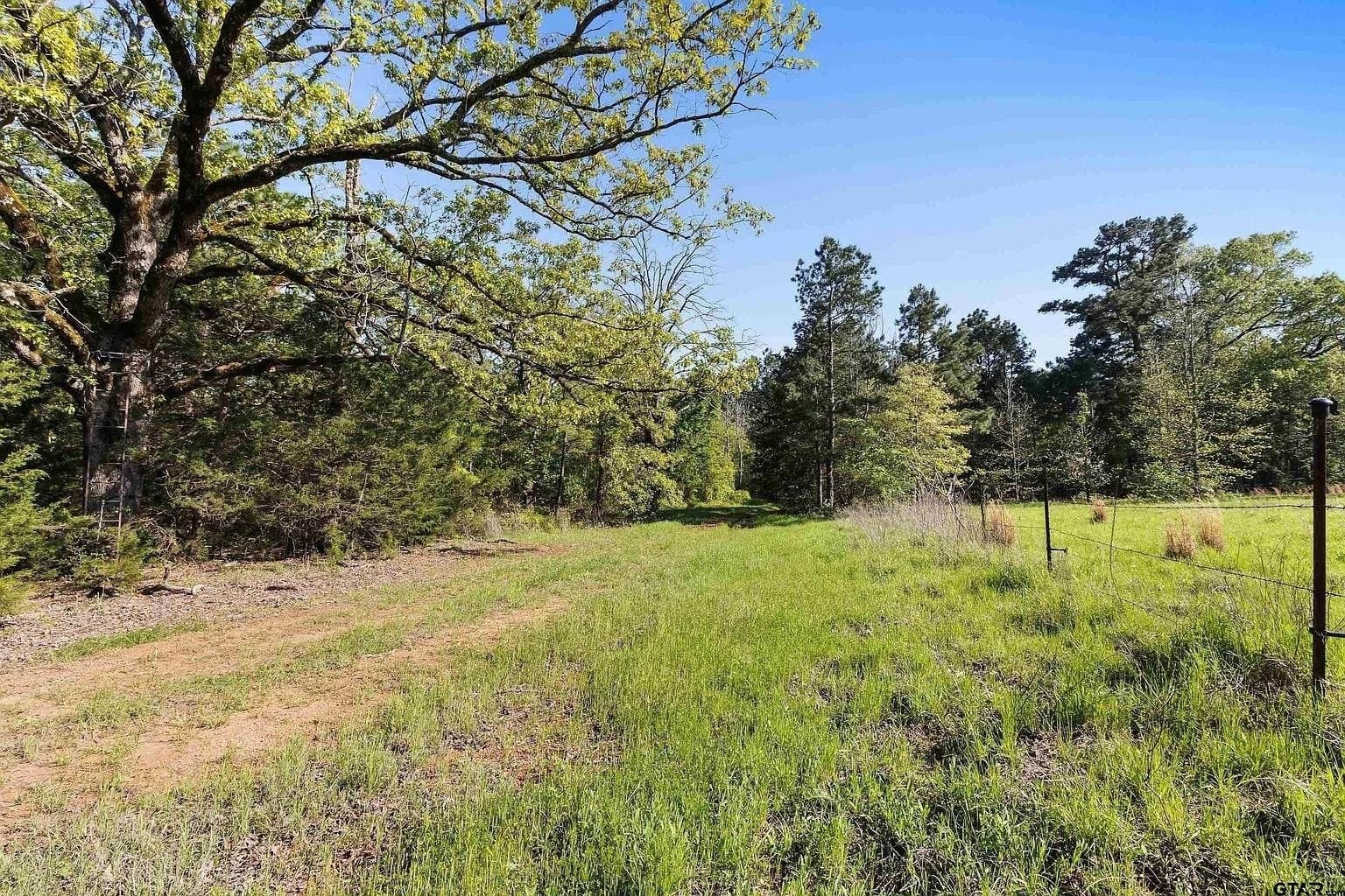 167.7 acres in Texas County - photo 12
