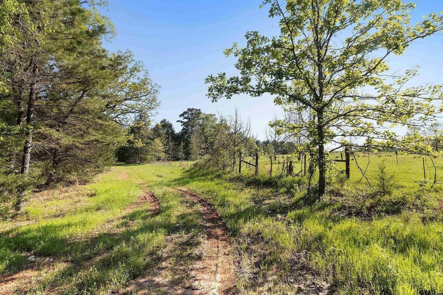 167.7 acres in Texas County - photo 13