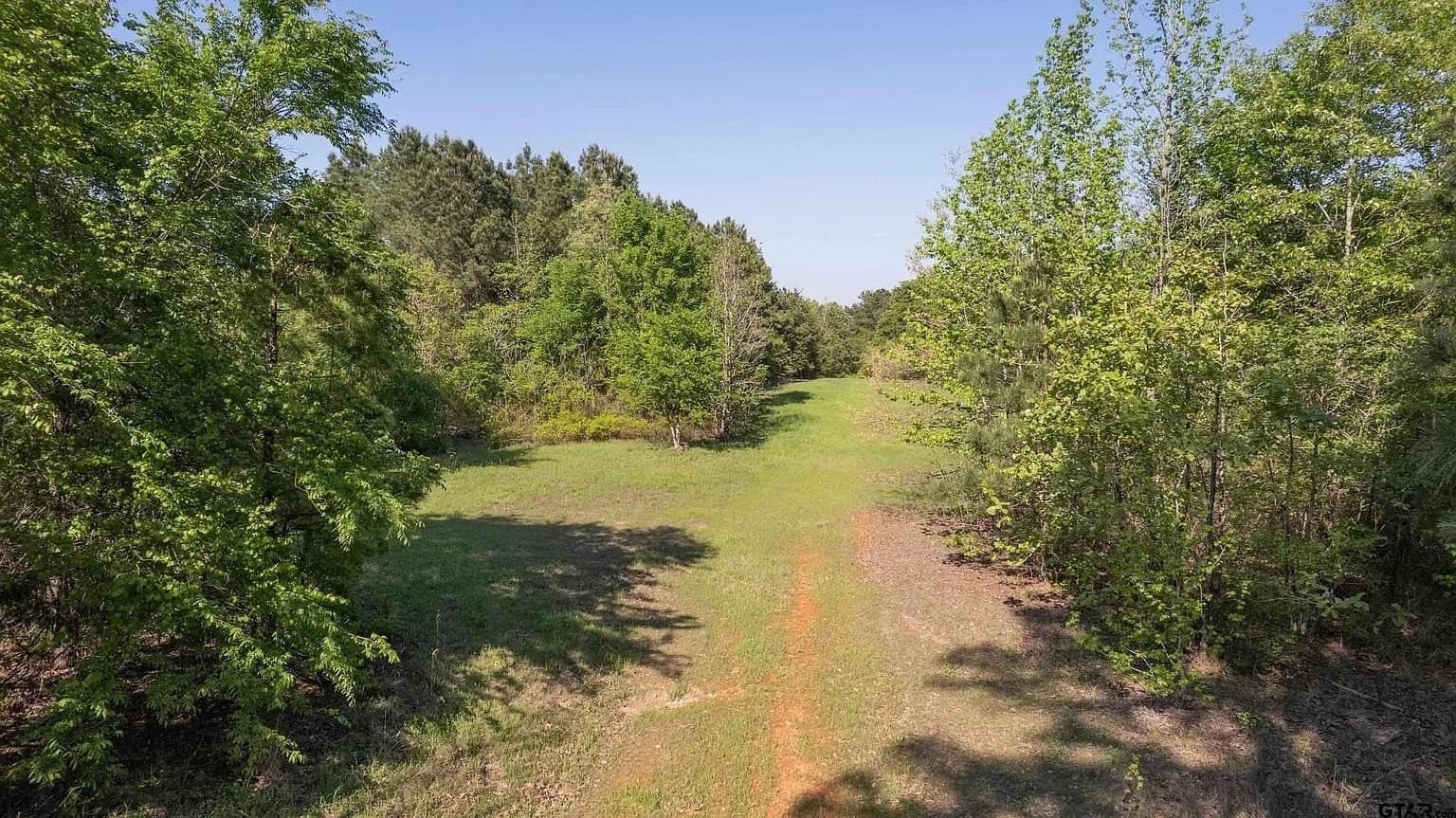 167.7 acres in Texas County - photo 6