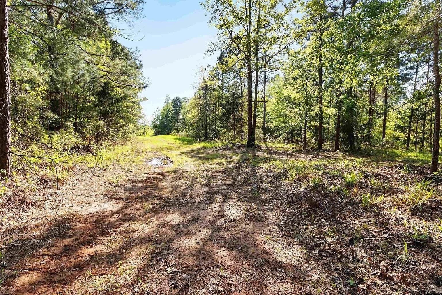 167.7 acres in Texas County - photo 19