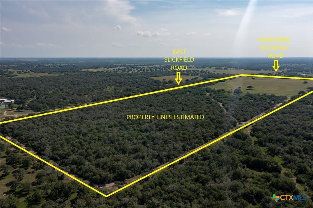 100 acres in DeWitt County gallery image 4