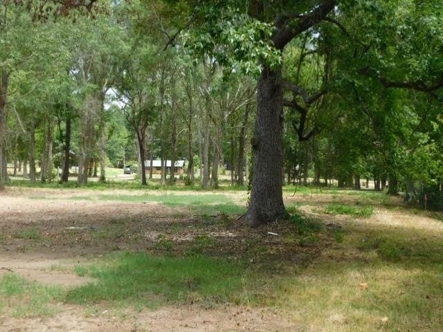 1.4 acres in Texas County gallery image 4