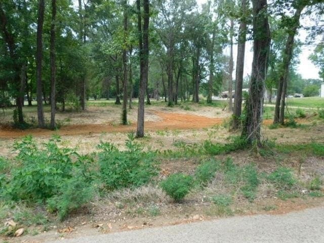 1.4 acres in Texas County gallery image 2