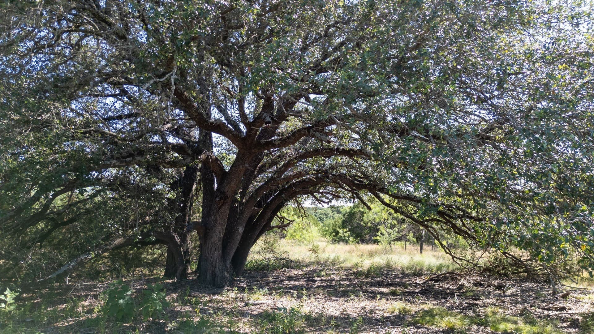 11.01 acres in Hamilton County