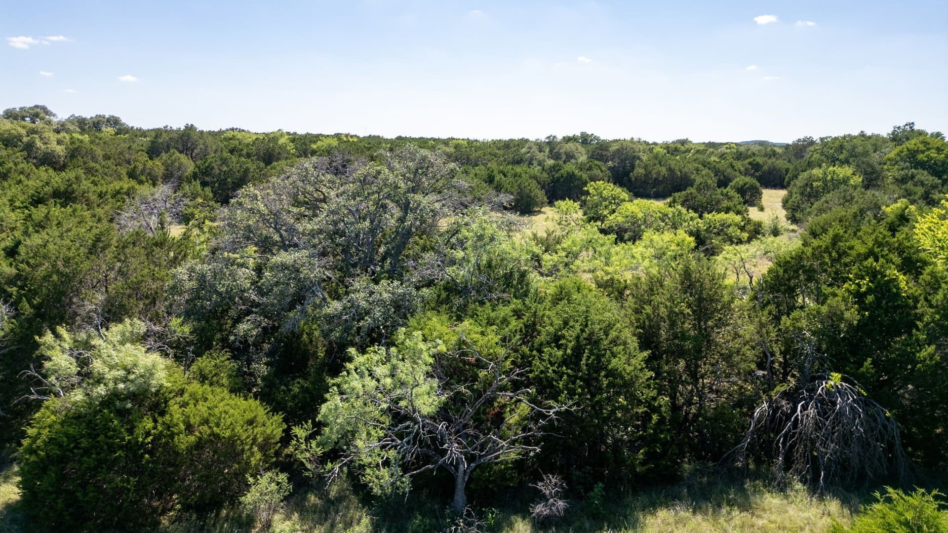 11.01 acres in Hamilton County gallery image 3