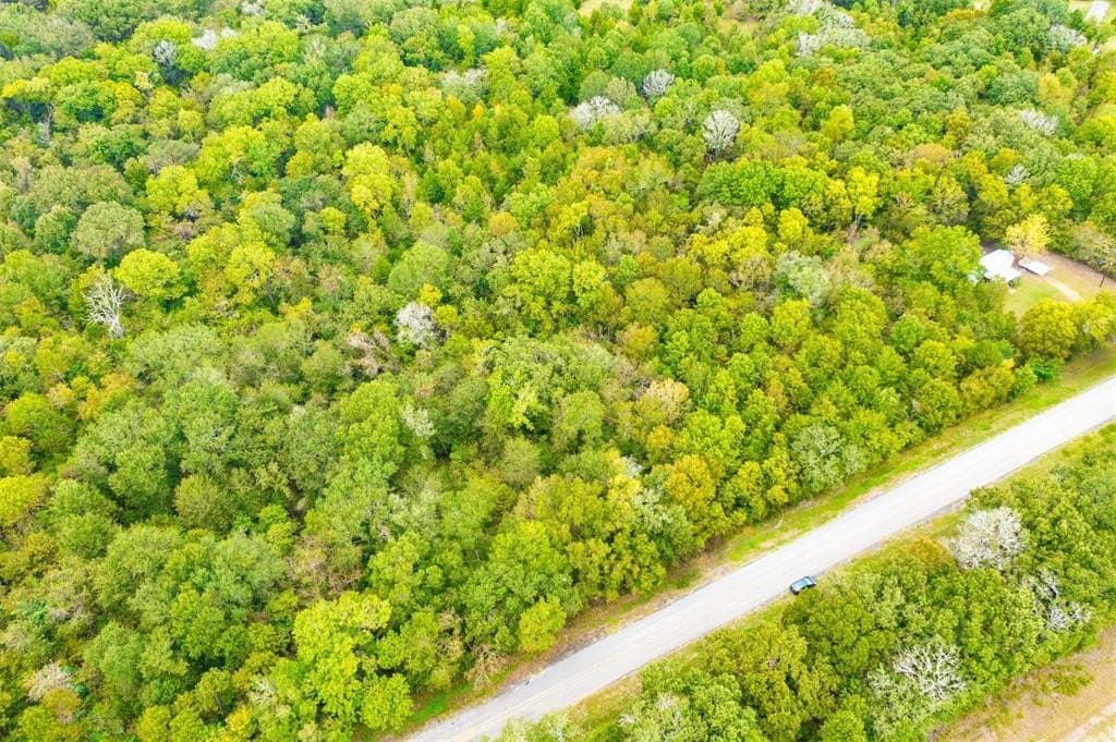 25 acres in Leon County gallery image 4