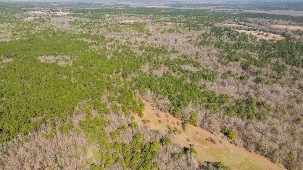 76 acres in Texas County gallery image 2
