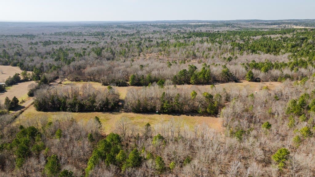 76 acres in Texas County gallery image 3