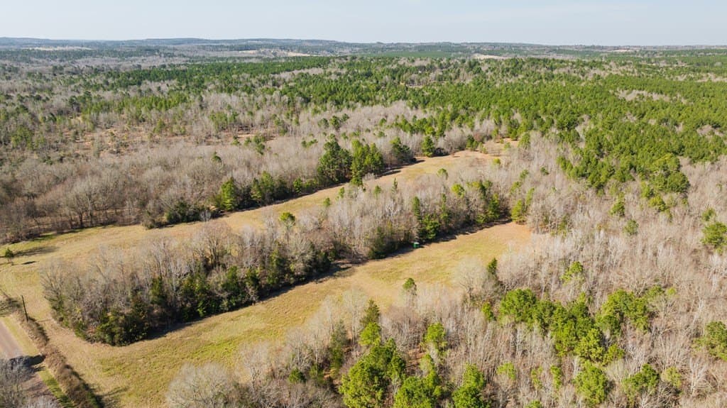 76 acres in Texas County gallery image 4