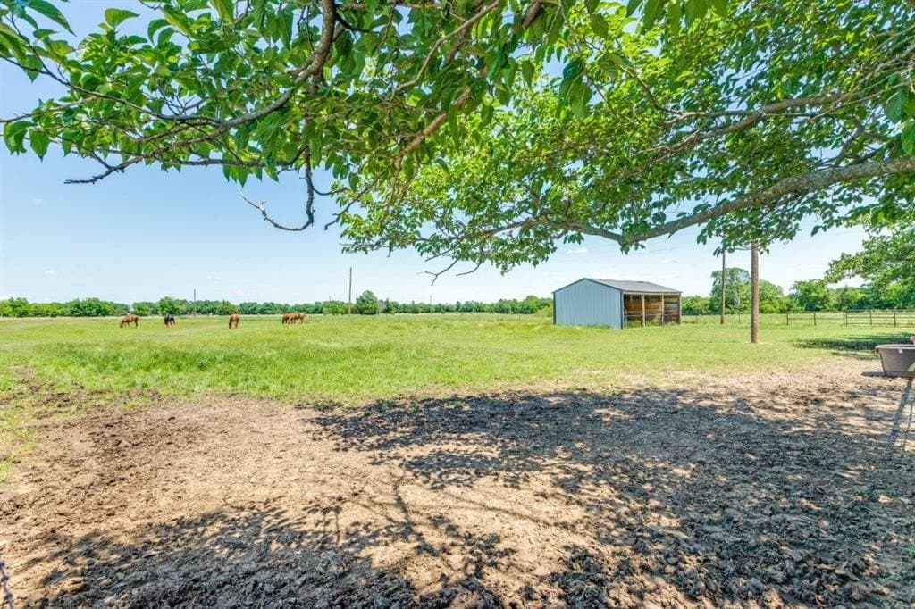 11 acres in Fannin County gallery image 3