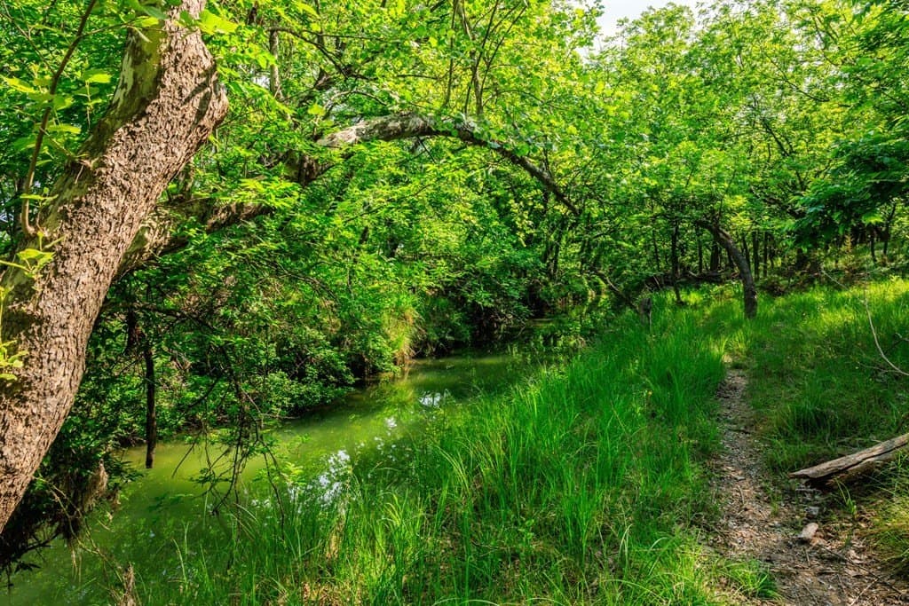 151.37 acres in Gillespie County gallery image 3