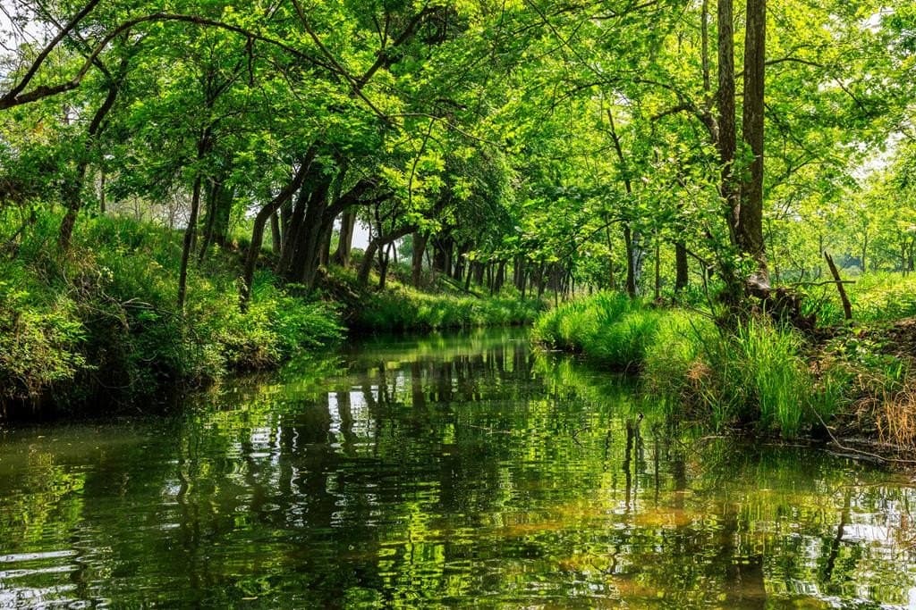 151.37 acres in Gillespie County