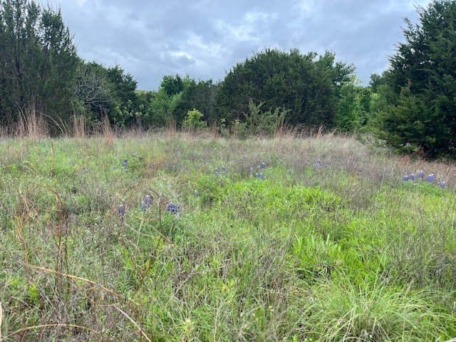 2.26 acres in Hood County - photo 22