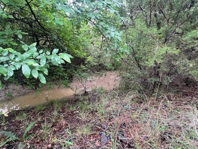 2.26 acres in Hood County - photo 26