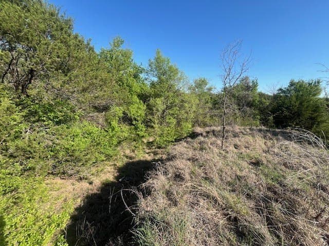 2.26 acres in Hood County - photo 9