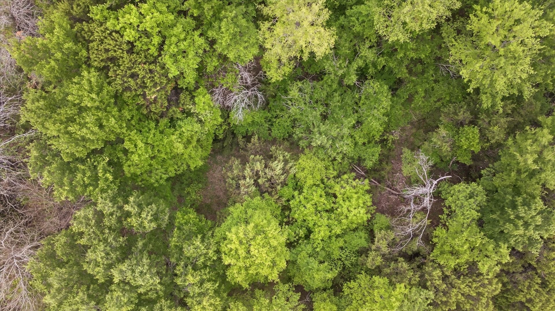 2.26 acres in Hood County - photo 17