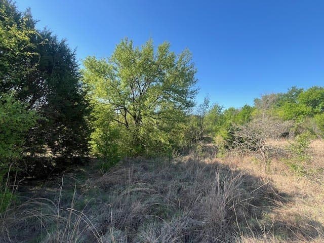2.26 acres in Hood County - photo 11