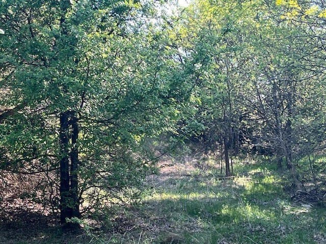 2.26 acres in Hood County - photo 8
