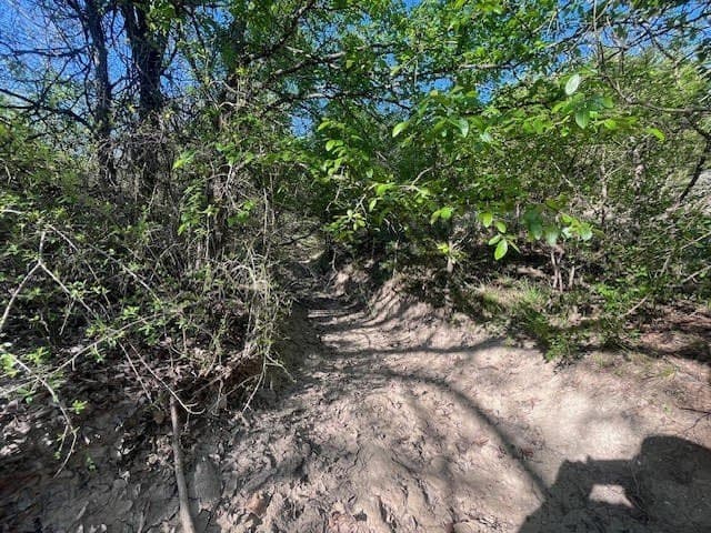 2.26 acres in Hood County - photo 7