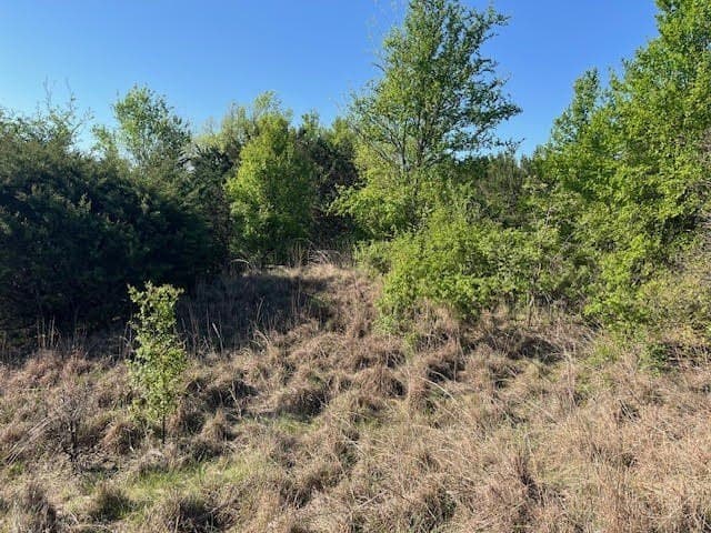 2.26 acres in Hood County - photo 10
