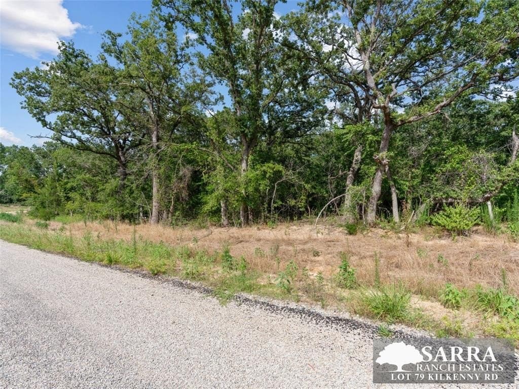 2 acres in Parker County featured view