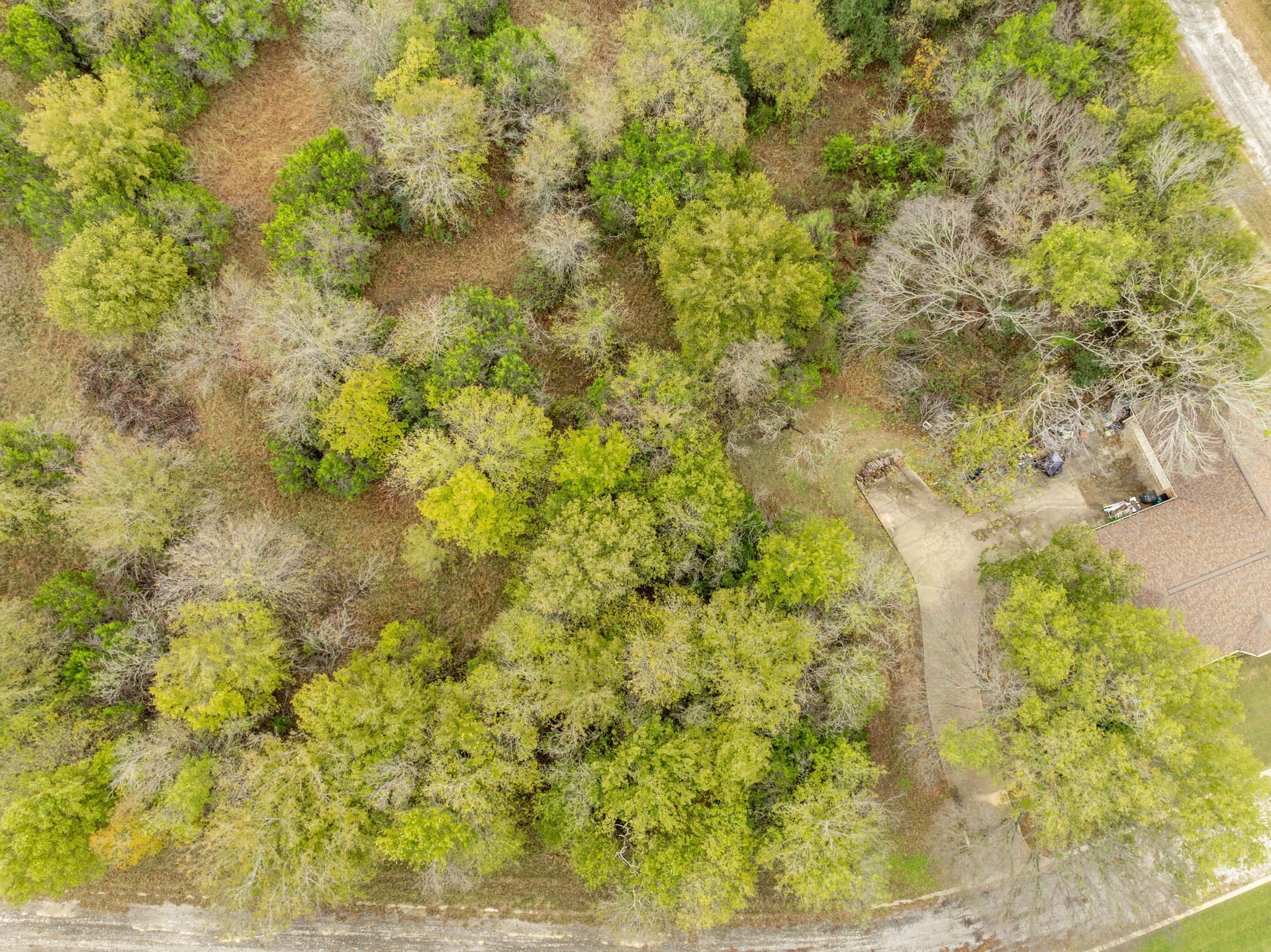 0.24 acres in Hill County gallery image 4