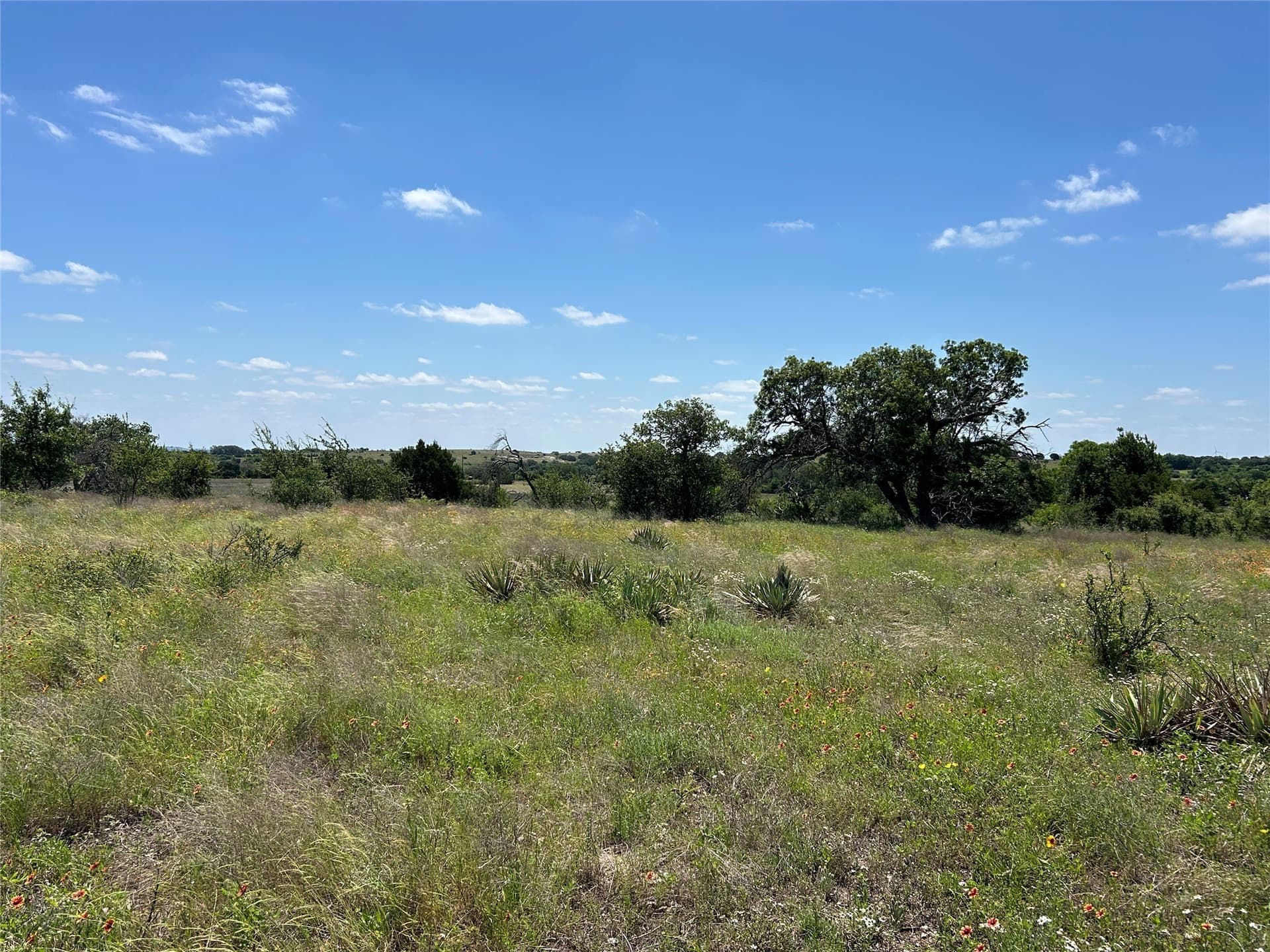 40 acres in Mills County - photo 31