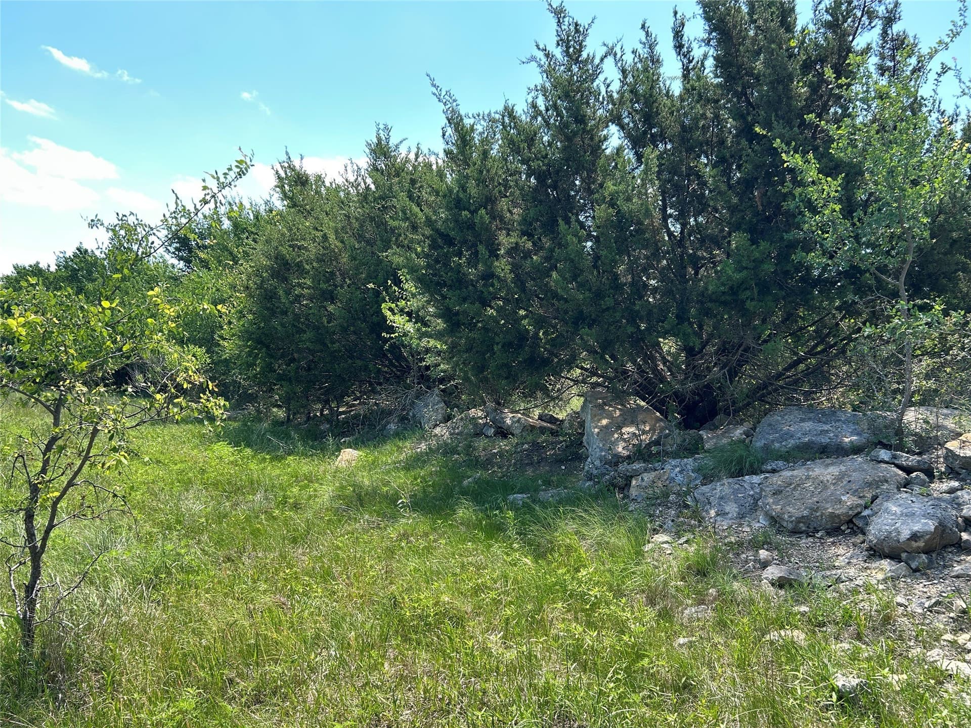 40 acres in Mills County - photo 10