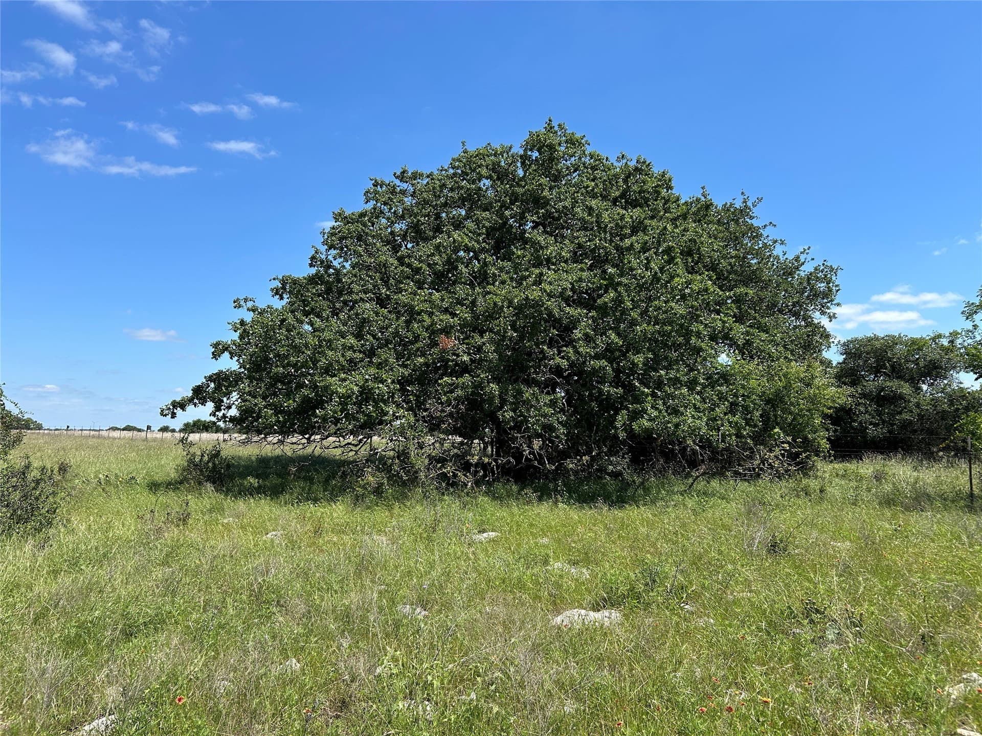 40 acres in Mills County - photo 30