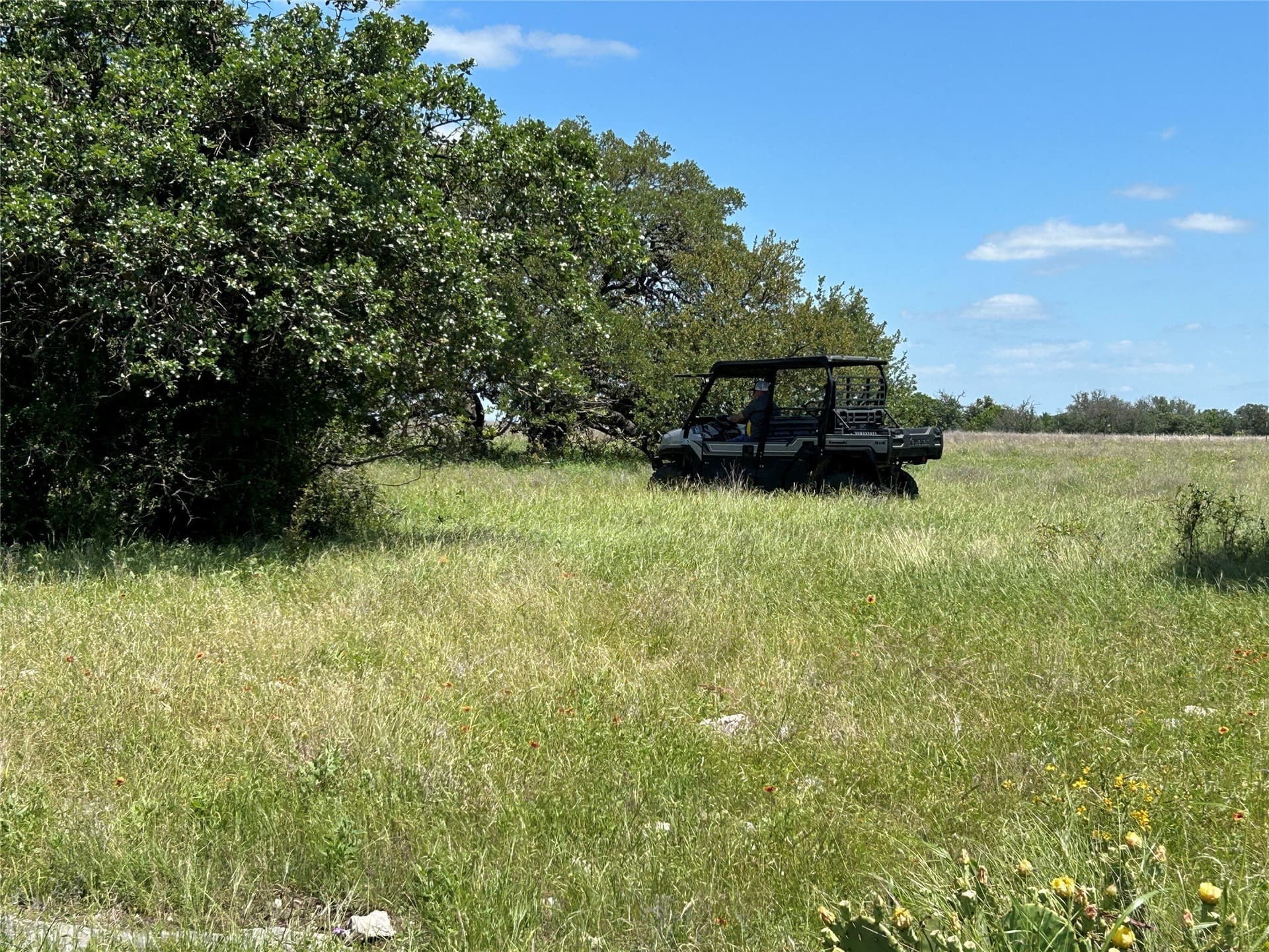 40 acres in Mills County - photo 7