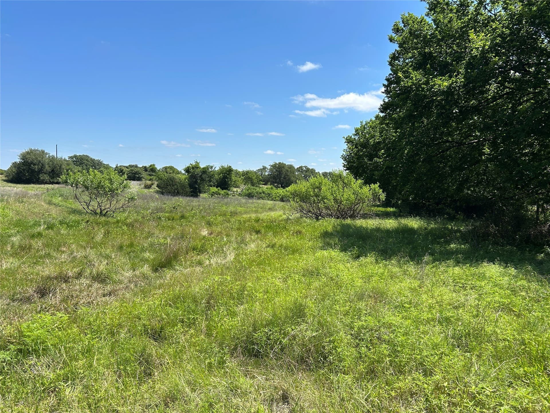 40 acres in Mills County - photo 25