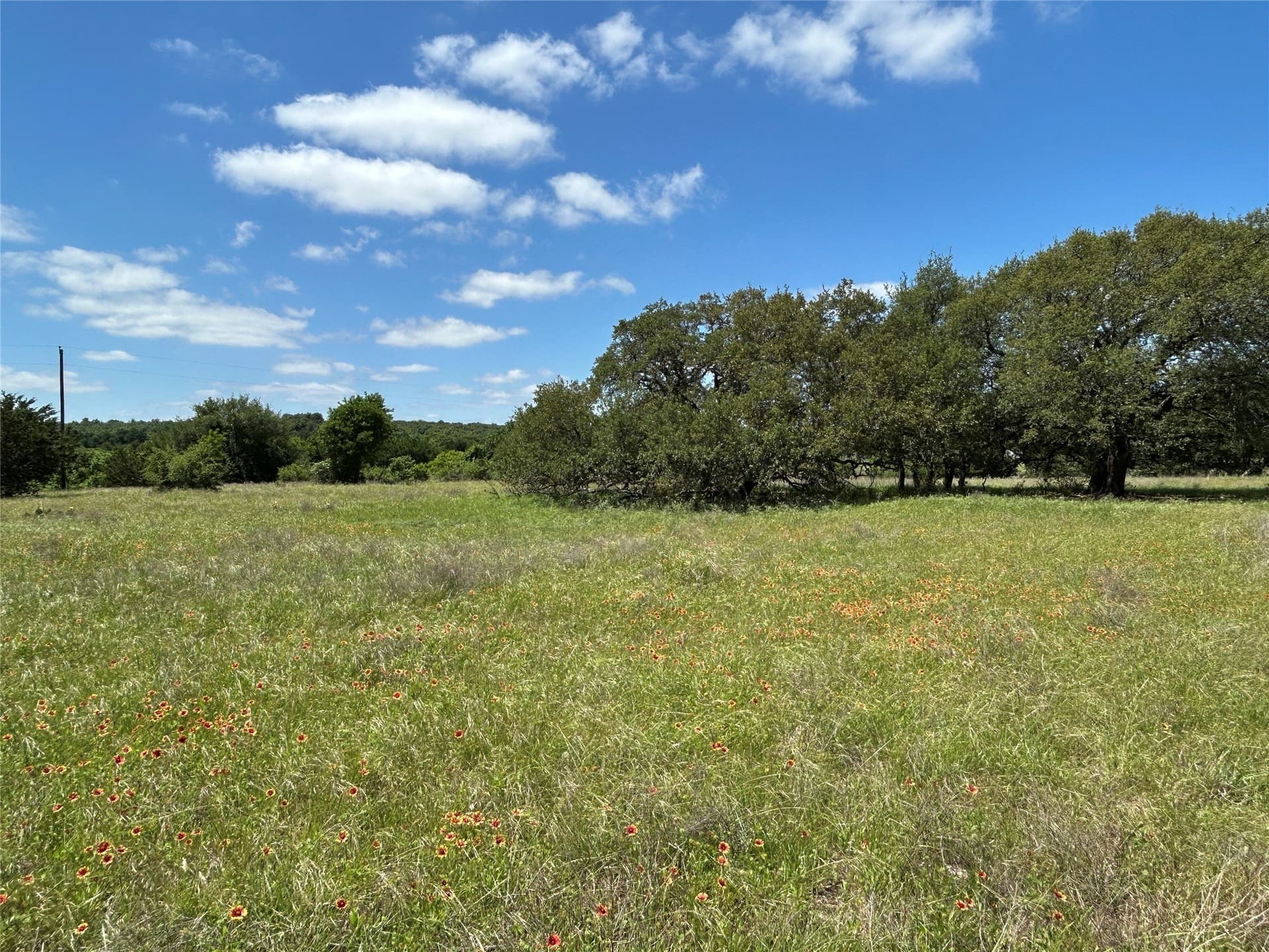 40 acres in Mills County - photo 34